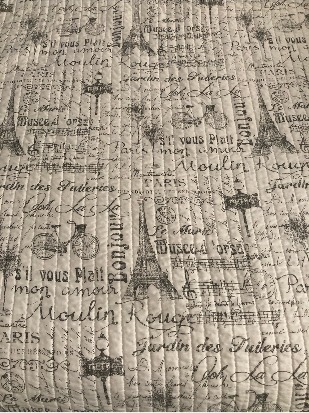 Paris Script Quilted Queen Size Bedspread 2 Pillow Shams Reversible Preowned